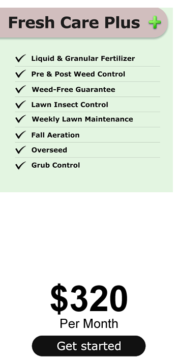 Lawn Fertilizing and Weed Control from Fresh Cut Pros