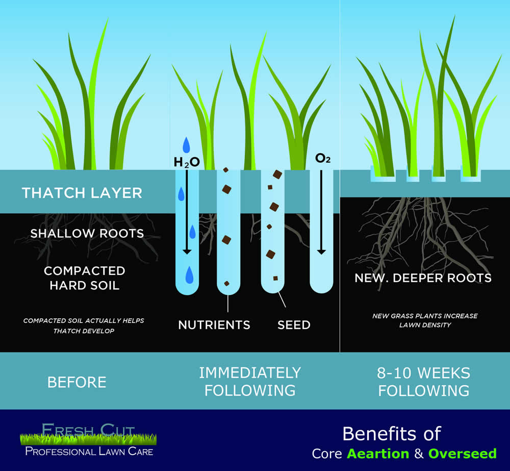 Aeration Graphic