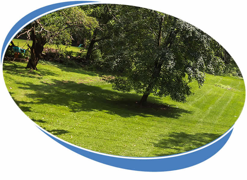 Local Lawn Aeration Services Minooka