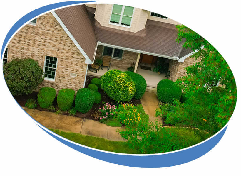 Local Shrub and Bush Trimming Services