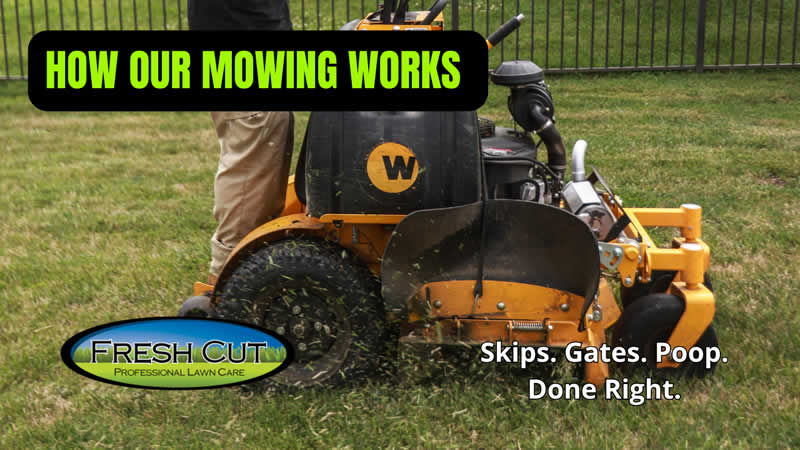 How Our Mowing Works