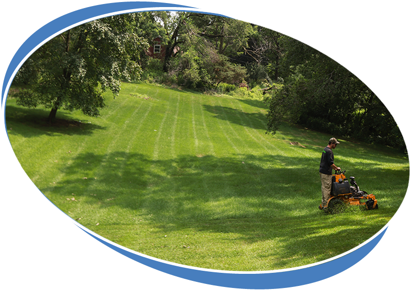 Lawn Care Services
