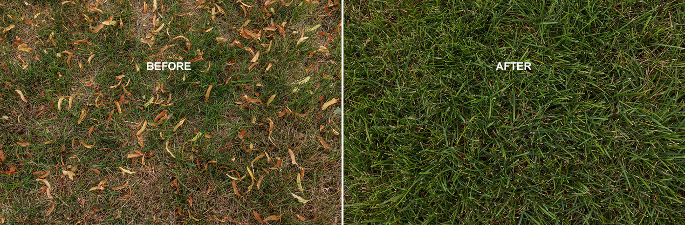 Lawn Fertilization Company